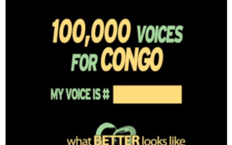 Raising a Voice for The Voiceless